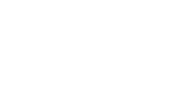 FIFA logo - Luum Bags custom reusable bag client